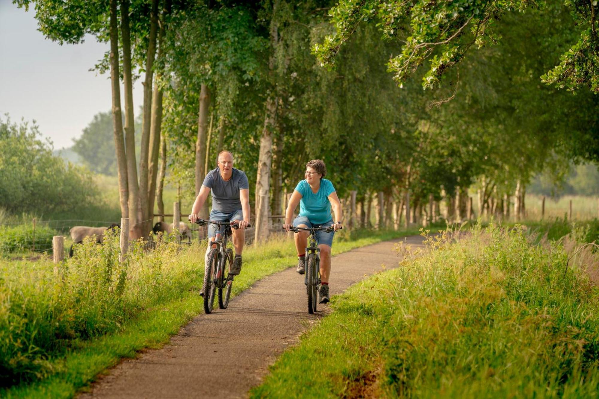 Noordwolde  Vakantiepark Bosmeer Friesland חדר תמונה